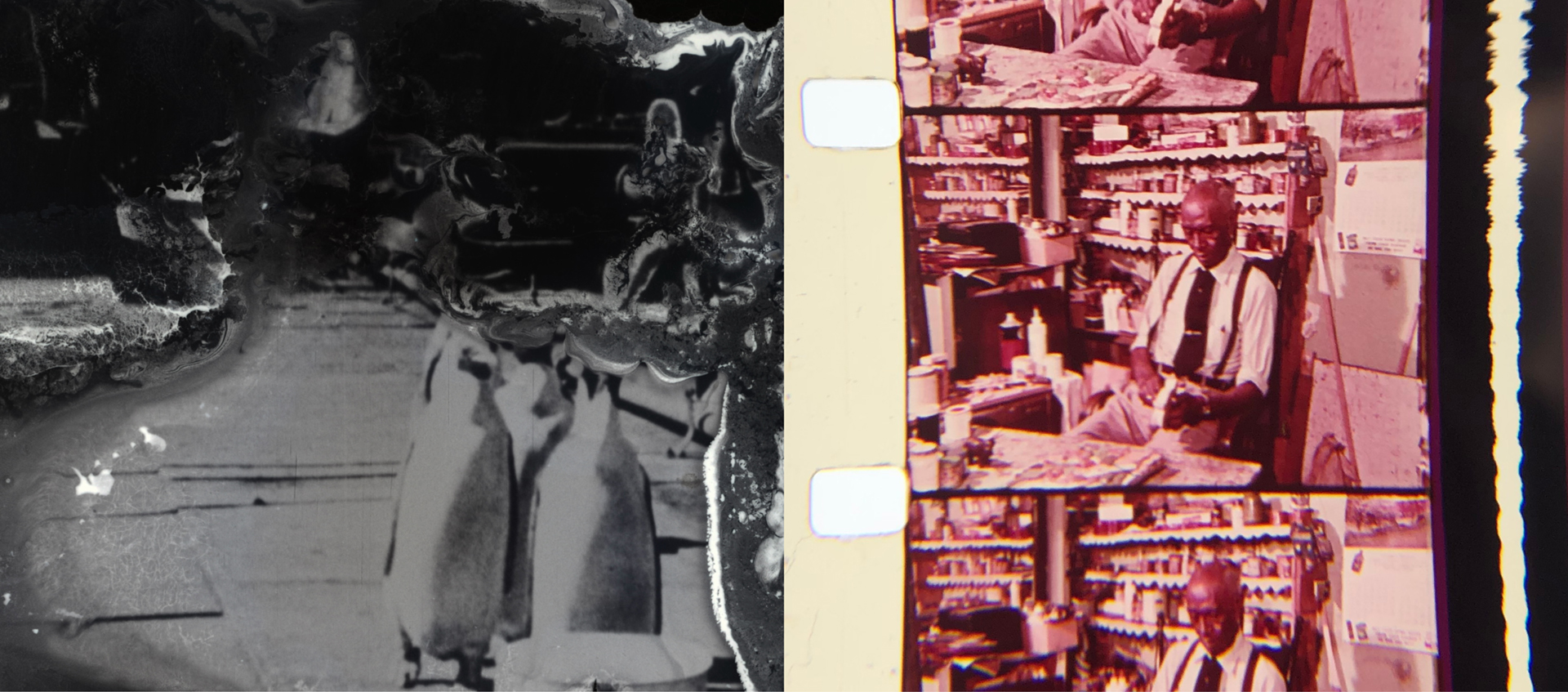 Left side shows a faded, abstract black-and-white image of penguins. Right side displays a series of color film strips with a man seated in a store or workshop.